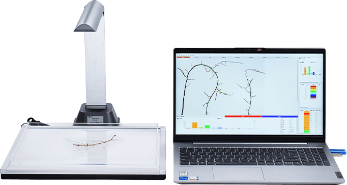根系分析儀